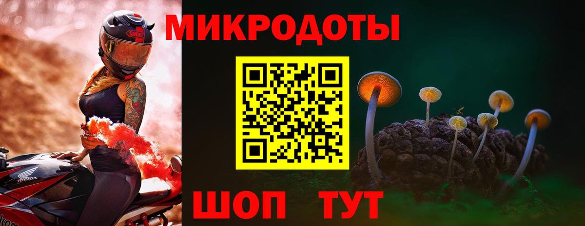 Галлюциногенные грибы Psilocybe  Псилоцибиновые грибы Cubensis  купить наркотики цена  Вход с VPN  Ессентуки 